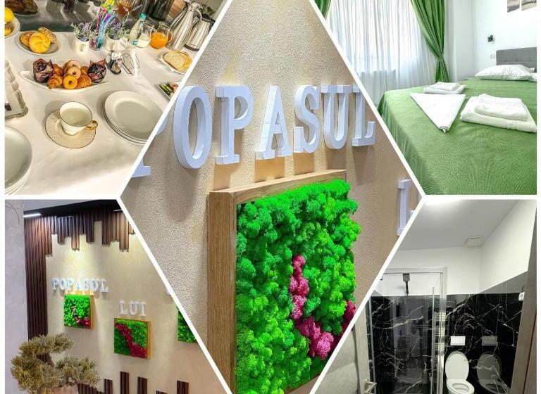 צימר Popasul Lui Gicuță