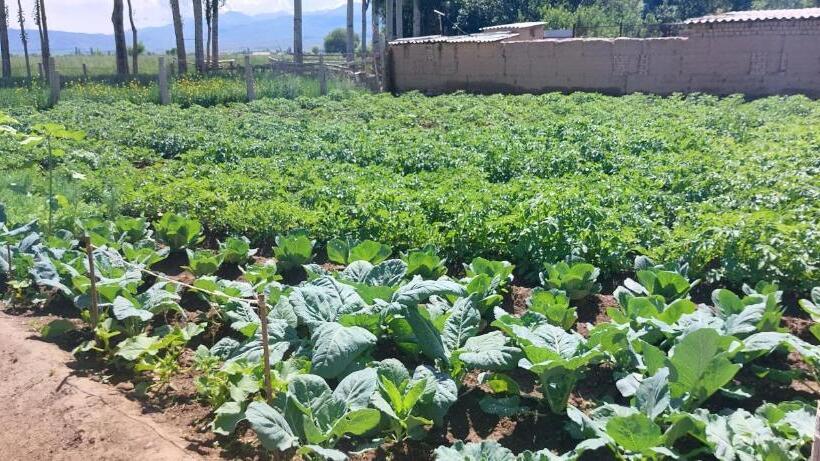 پانسیون Gulanda Guesthouse