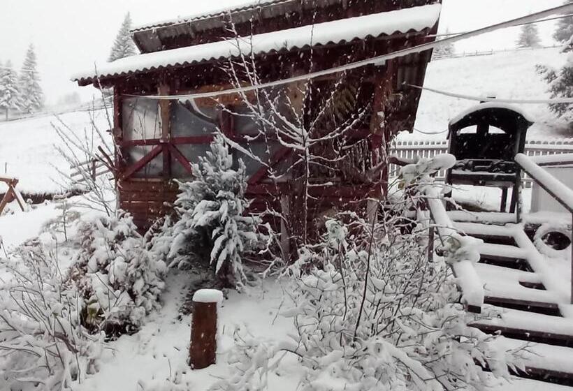 بنسيون Perla Călimanilor