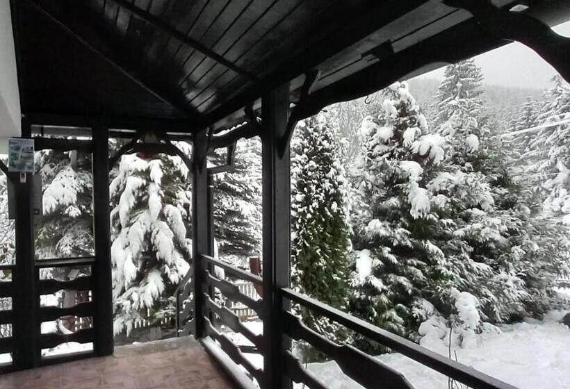 بنسيون Perla Călimanilor