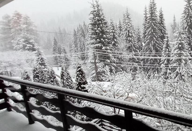 بنسيون Perla Călimanilor