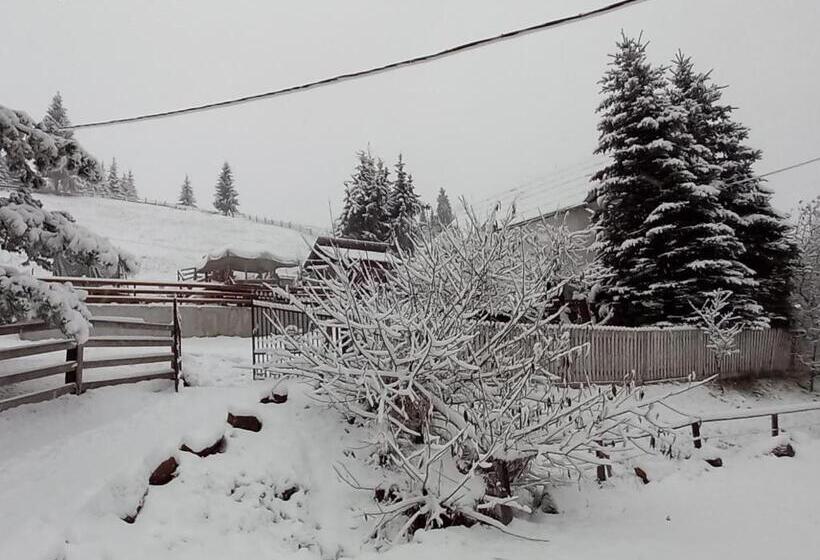 بنسيون Perla Călimanilor