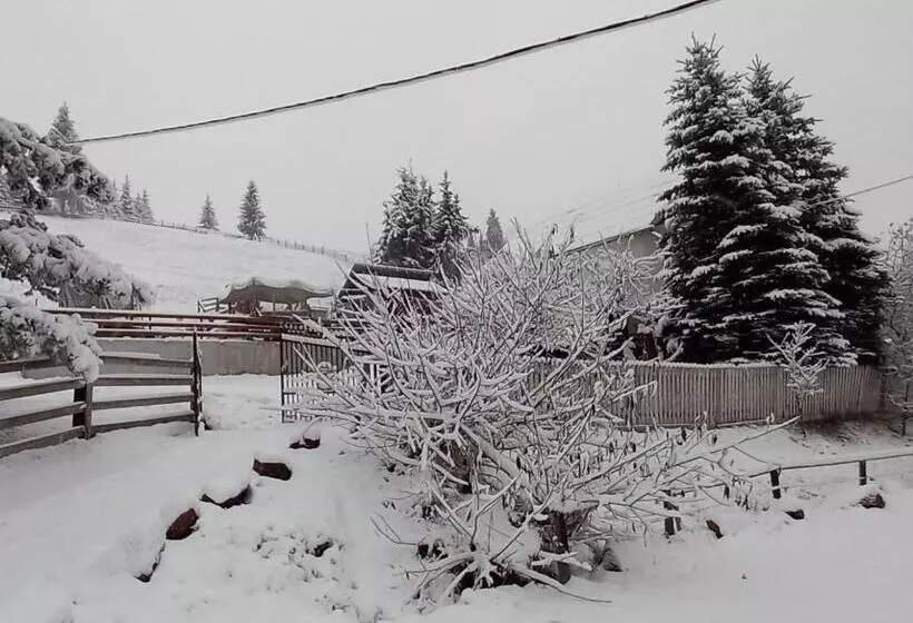 Majatalo Perla Călimanilor