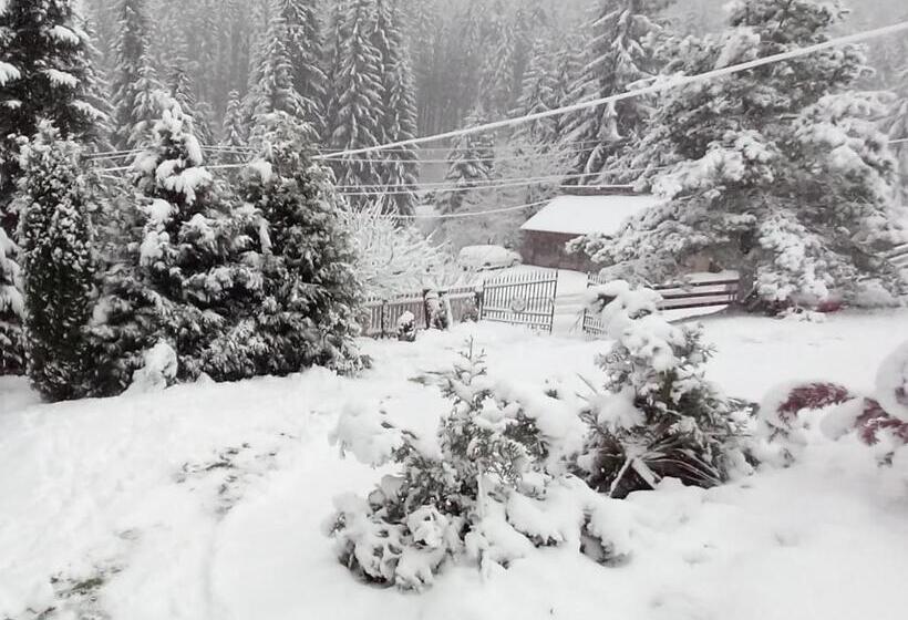 بنسيون Perla Călimanilor