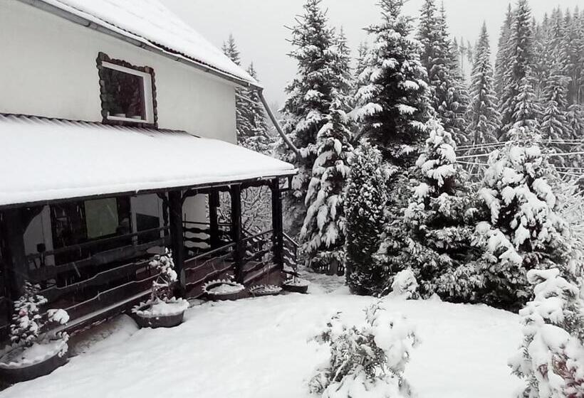 بنسيون Perla Călimanilor