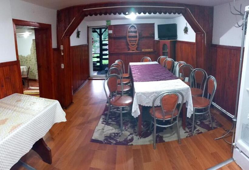 بنسيون Perla Călimanilor