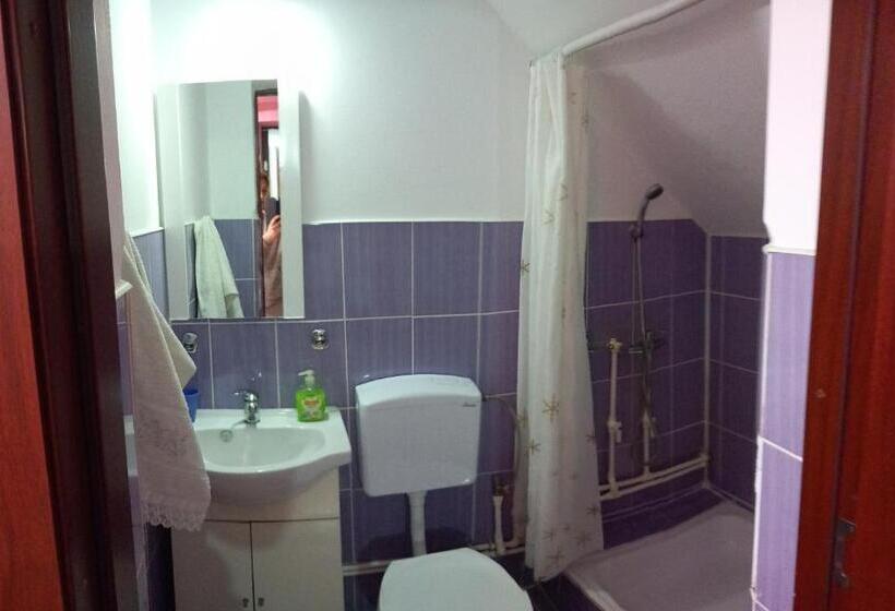 بنسيون Perla Călimanilor