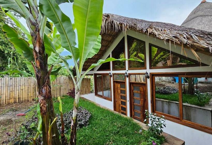 هاستل Sabor Y Vista