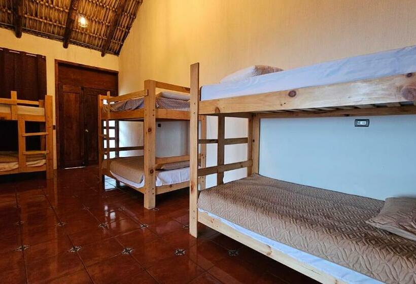 هاستل Sabor Y Vista