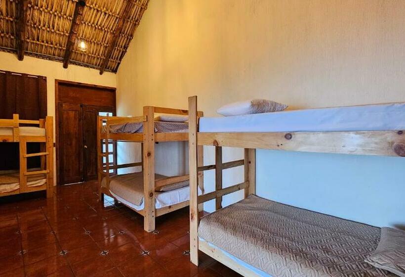 هاستل Sabor Y Vista