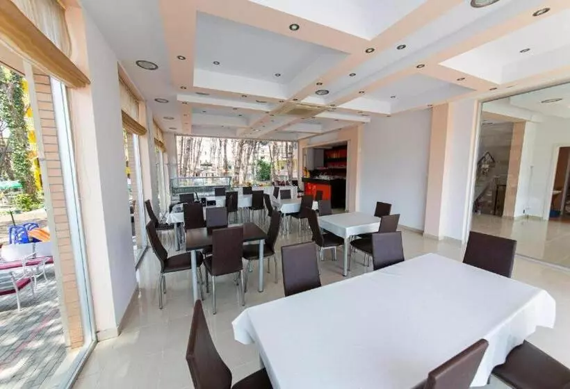 Hotel Intea