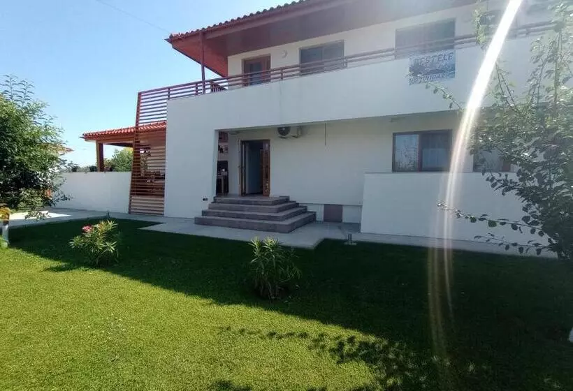 هتل Pestele Ca Odinioară