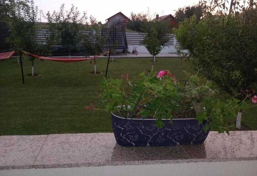 בית מלון כפרי Pestele Ca Odinioară