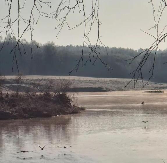 پانسیون Atpūtas Komplekss Pūcmāja