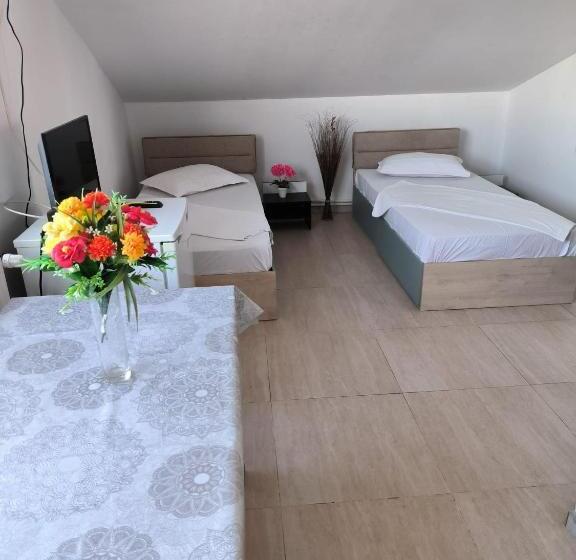 Pensjonat Vila Gherghisan