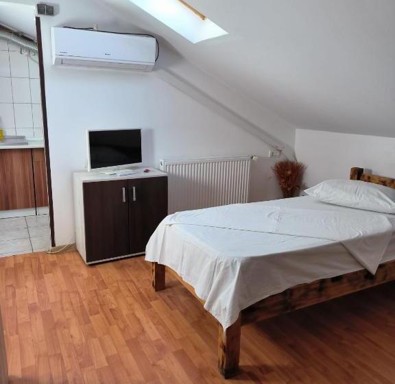 Pensjonat Vila Gherghisan