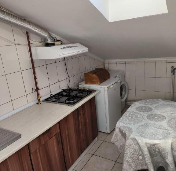 Pensjonat Vila Gherghisan