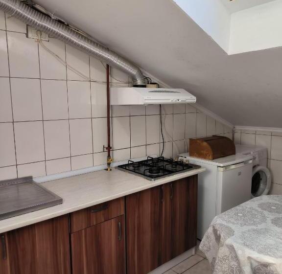 Pensjonat Vila Gherghisan