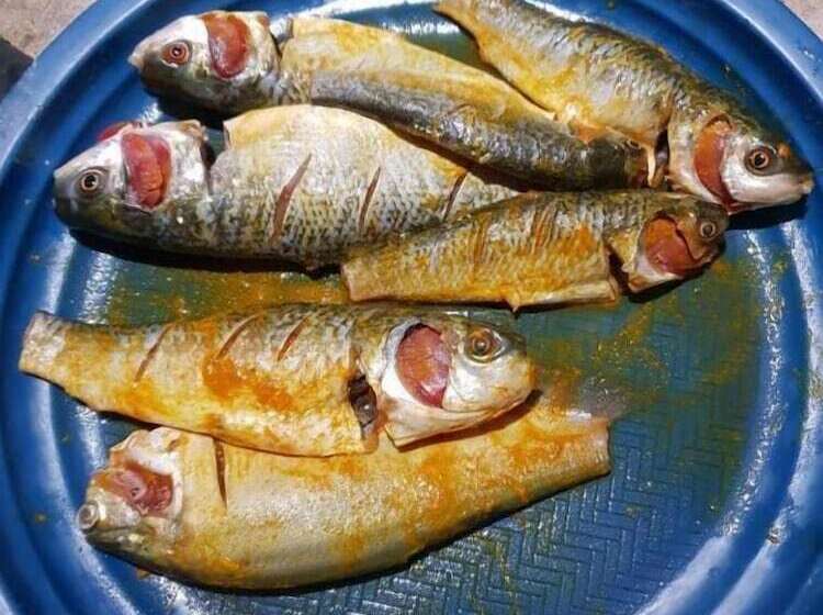 Sunapur Mini Resort Sylhet