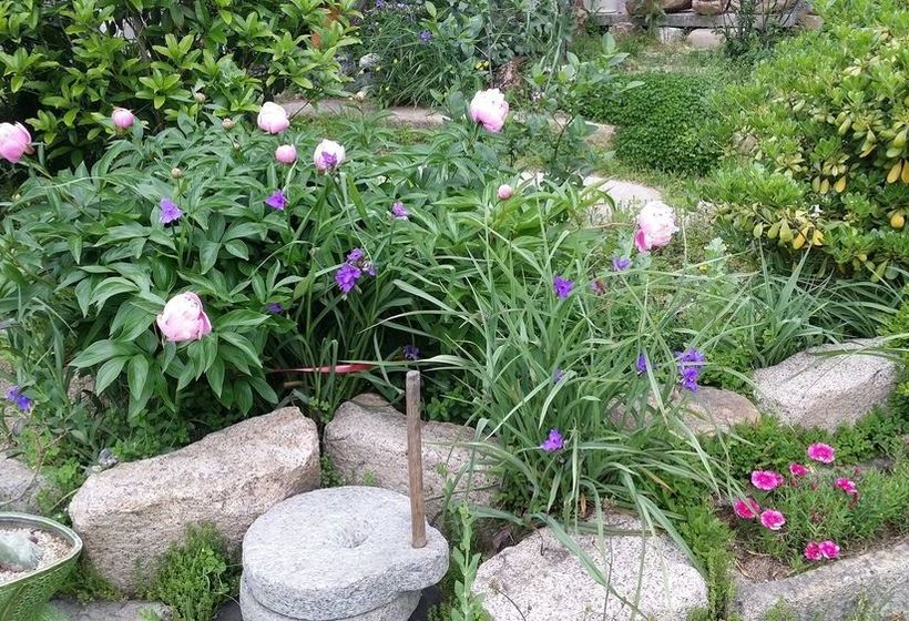 Guest House Godo  Hostel