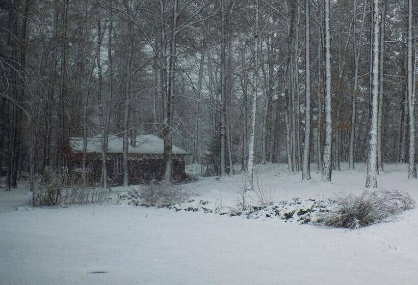 B&b Les Buissonnets De Longchamps