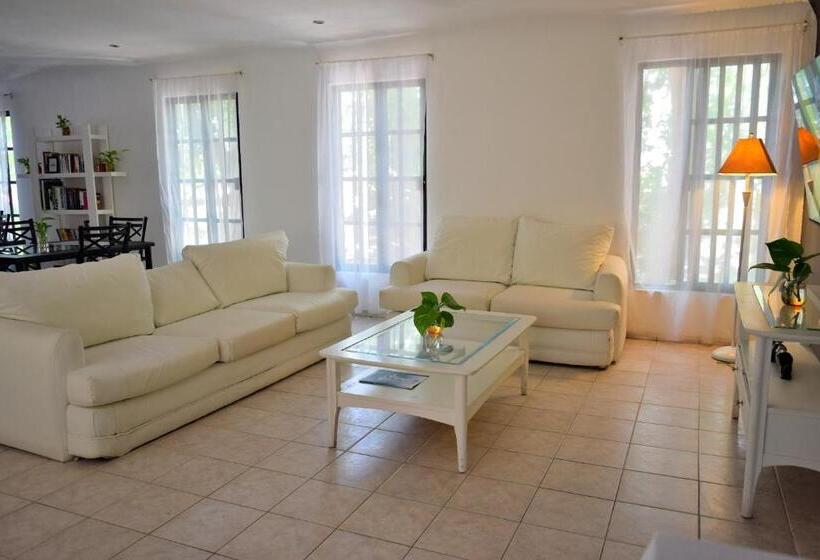 مبيت وإفطار Che Suites Playa Adults Only