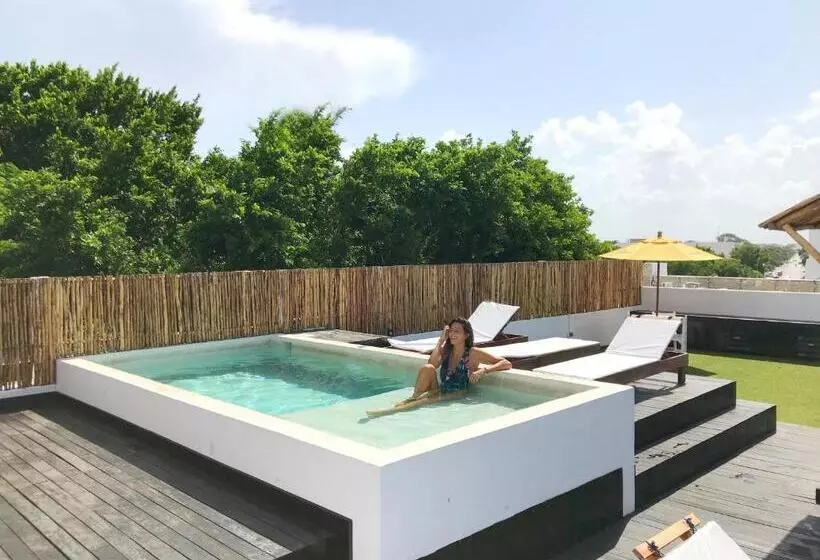 ベッドアンドブレックファースト Che Suites Playa Adults Only