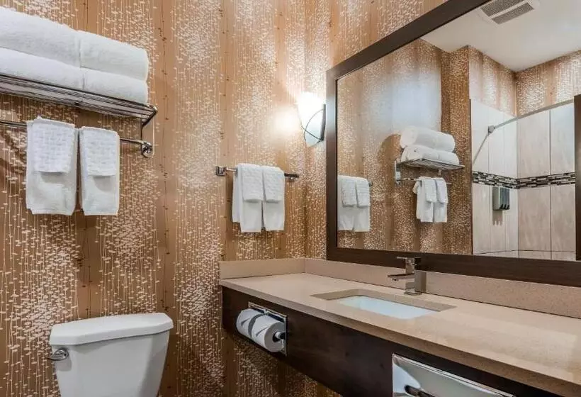 ホテル Best Western Plus Kindersley