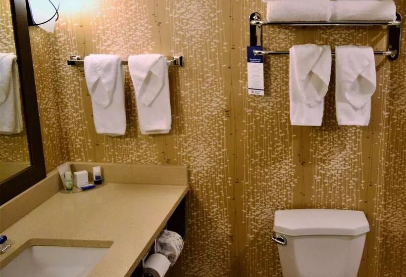 ホテル Best Western Plus Kindersley