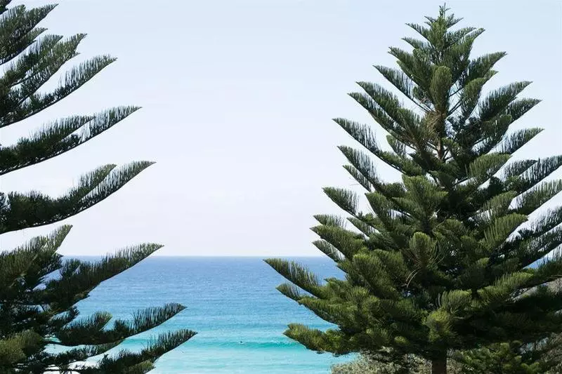 ホテル Bondi 38 Serviced Apartments