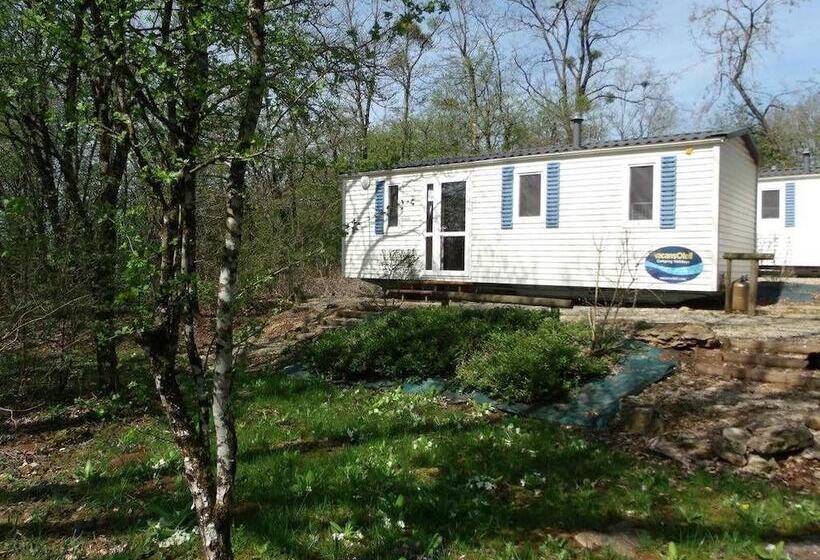 בית מלון כפרי Camping De La Croix D'arles