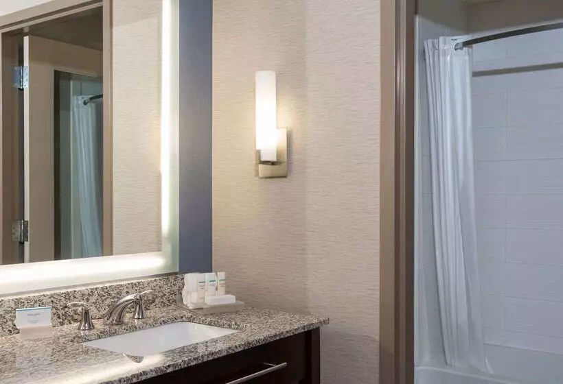 ホテル Homewood Suites By Hilton Grand Rapids Downtown