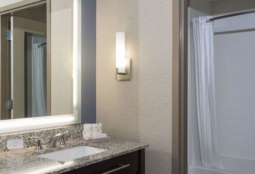 فندق Homewood Suites By Hilton Grand Rapids Downtown