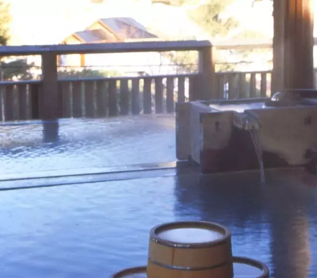 ホテル Manza Onsen Nisshinkan