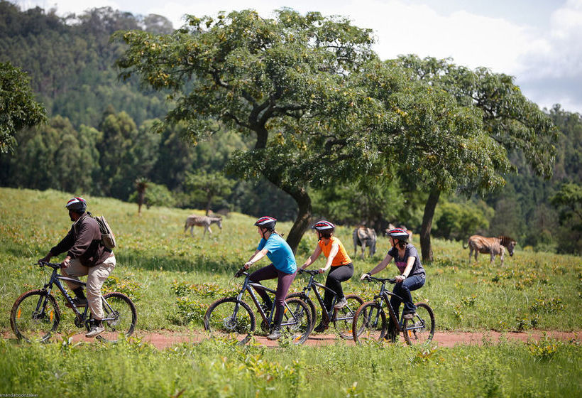 Отель Reilly's Rock Hilltop Lodge