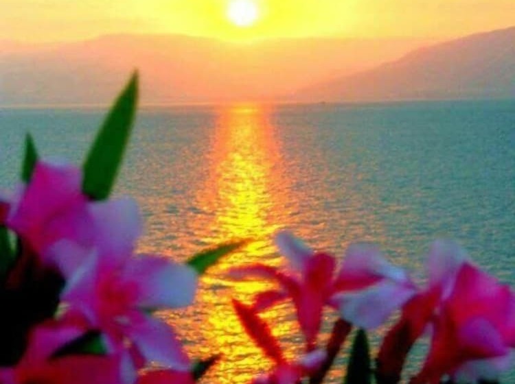 פנסיון Coral Rooms