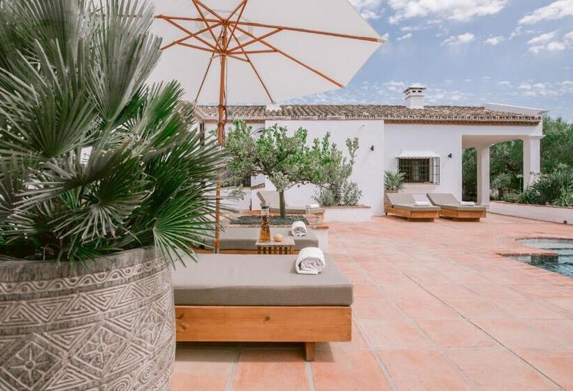 Отель San Roque Suites De Monda