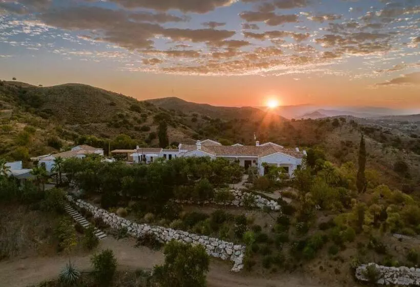 Hotelli San Roque Suites De Monda