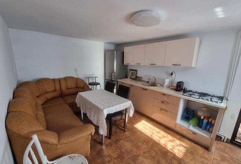 پانسیون Casa Petcu