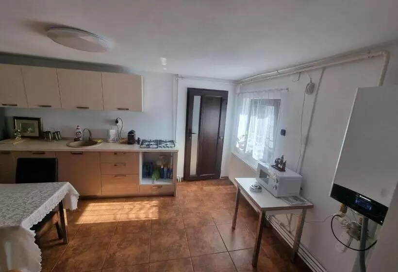 پانسیون Casa Petcu