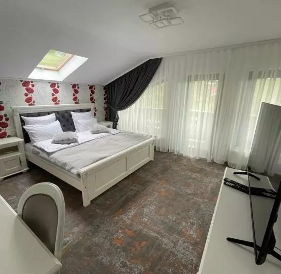 Pensiunea Alexolar New One