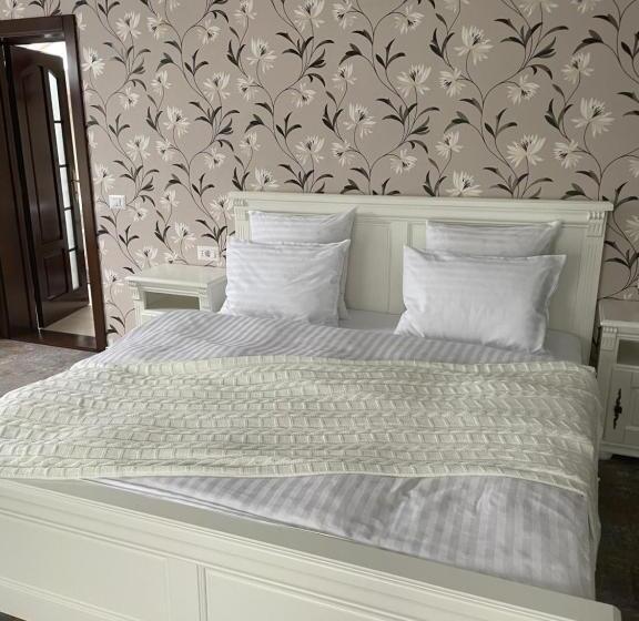 Pensiunea Alexolar New One