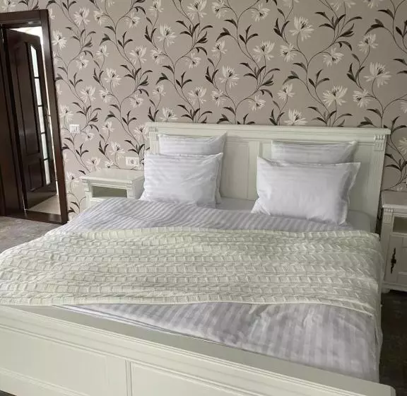 Pensiunea Alexolar New One