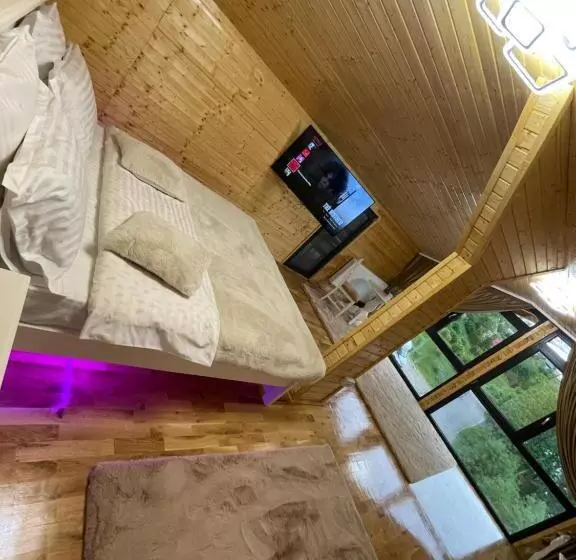 Pensiunea Alexolar New One