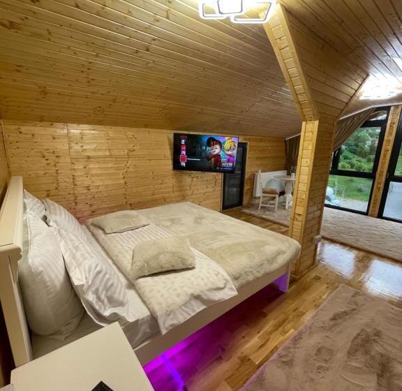 Pensiunea Alexolar New One