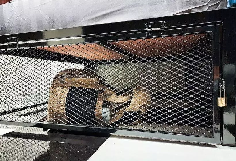 Noir Cafe And Hostel Chinatown Bangkok