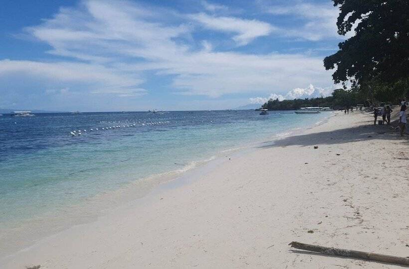 Birdwatchers Beachfront Hotel Panglao