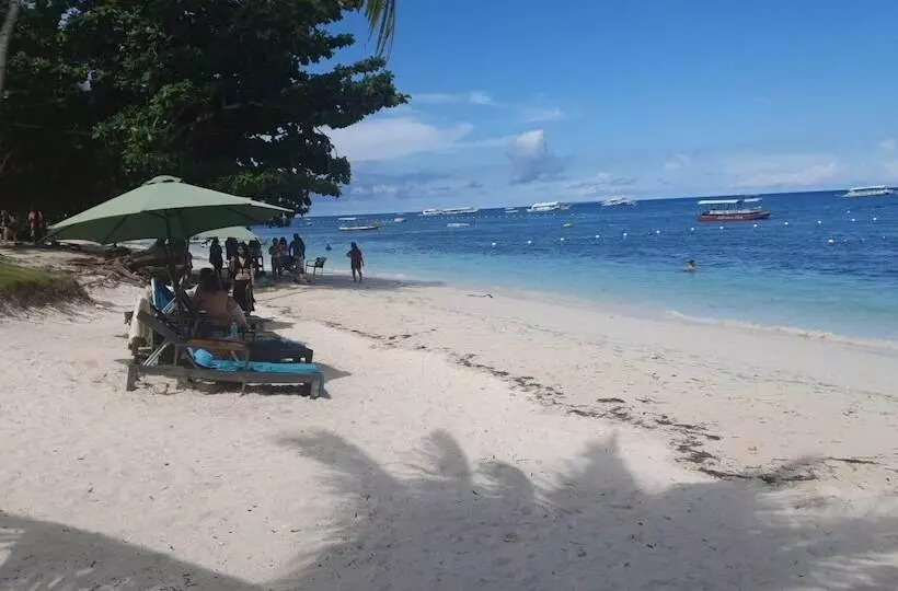 Birdwatchers Beachfront Hotel Panglao