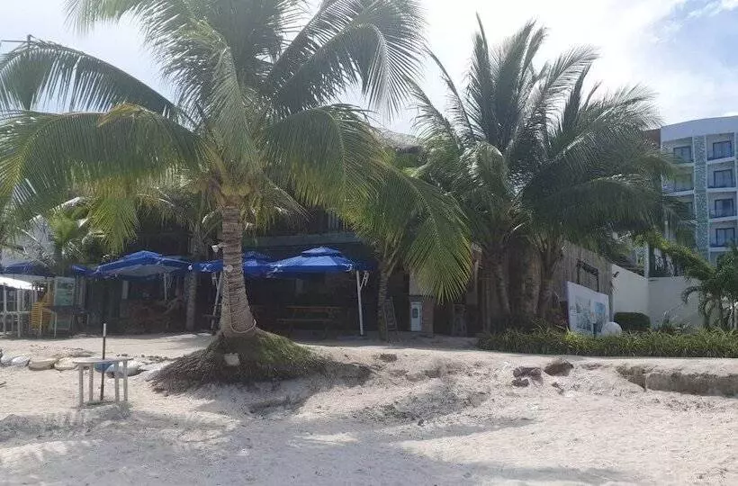 Birdwatchers Beachfront Hotel Panglao