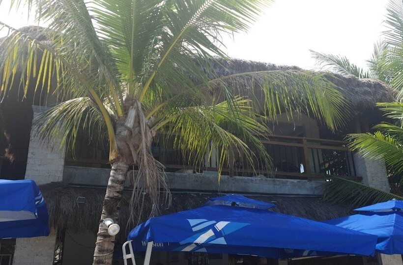 Birdwatchers Beachfront Hotel Panglao